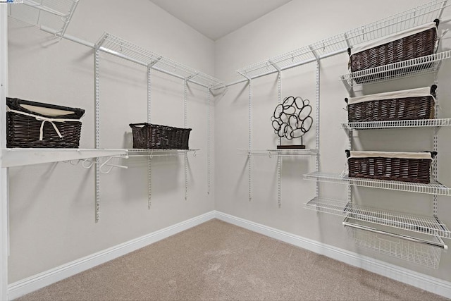 spacious closet with carpet floors