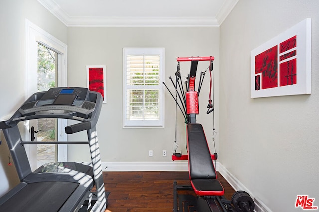 workout area featuring dark hardwood / wood-style flooring, ornamental molding, and a wealth of natural light