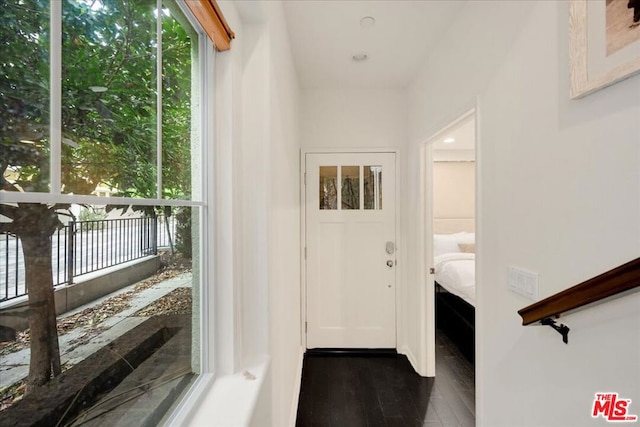 entryway featuring dark hardwood / wood-style flooring