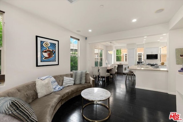 living room featuring dark hardwood / wood-style floors and sink