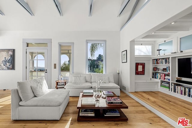 living room featuring wood-type flooring and a wealth of natural light