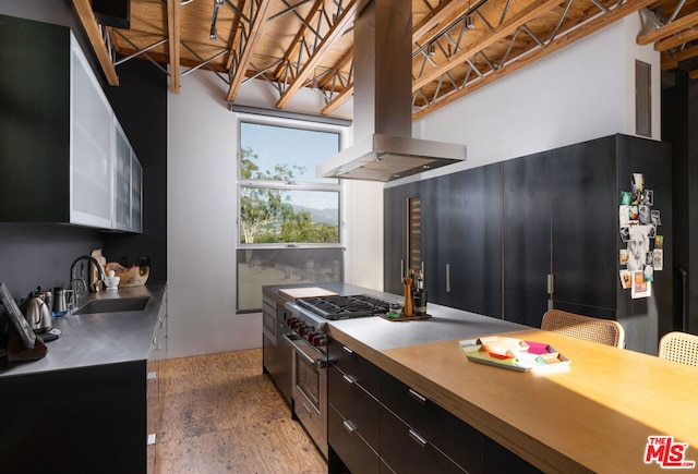 kitchen with island exhaust hood, sink, high end range, and hardwood / wood-style floors