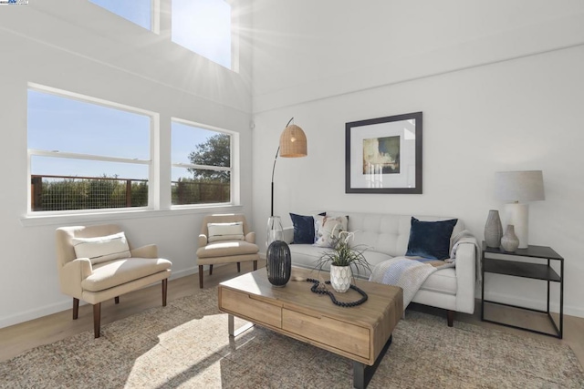 living room with a high ceiling and light wood-type flooring