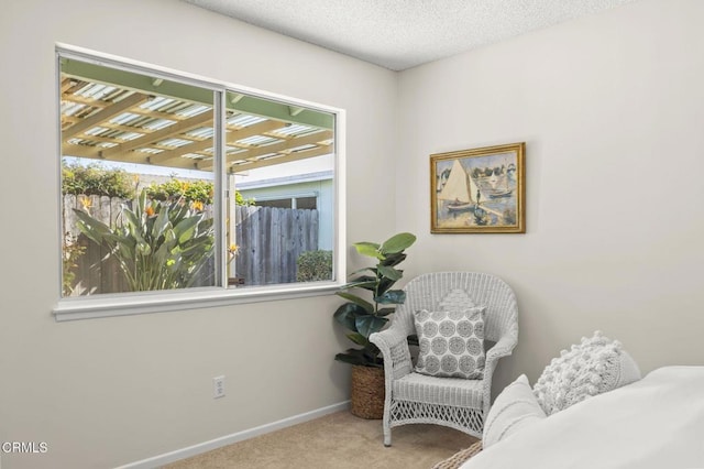 living area with a textured ceiling, light colored carpet, and a wealth of natural light