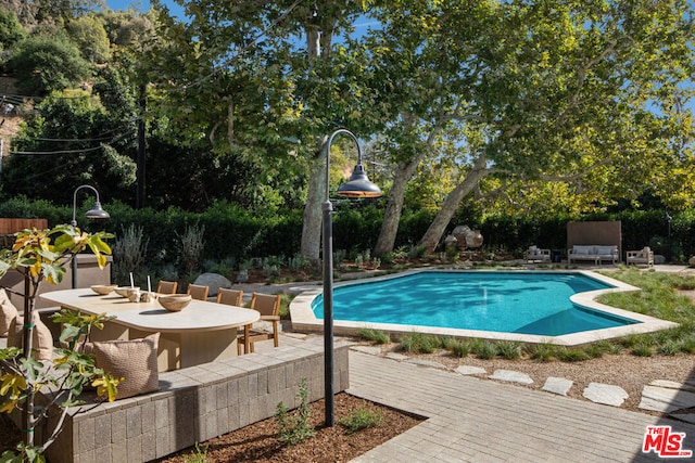 view of swimming pool featuring a patio area