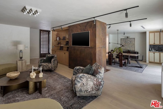 living room with rail lighting and light hardwood / wood-style flooring