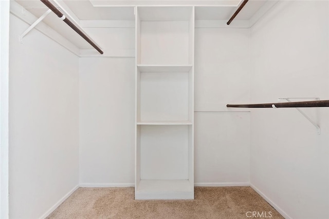 29121 Thousand Oaks Blvd Unit C, Agoura Hills, CA 91301 - walk in closet with carpet floors