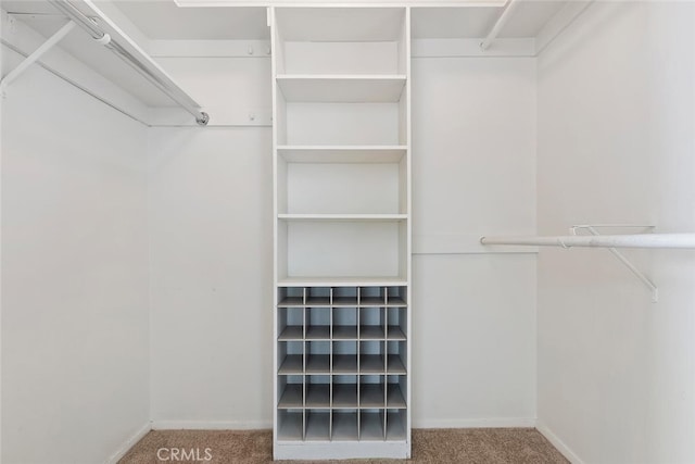 29121 Thousand Oaks Blvd Unit C, Agoura Hills, CA 91301 - walk in closet with carpet flooring