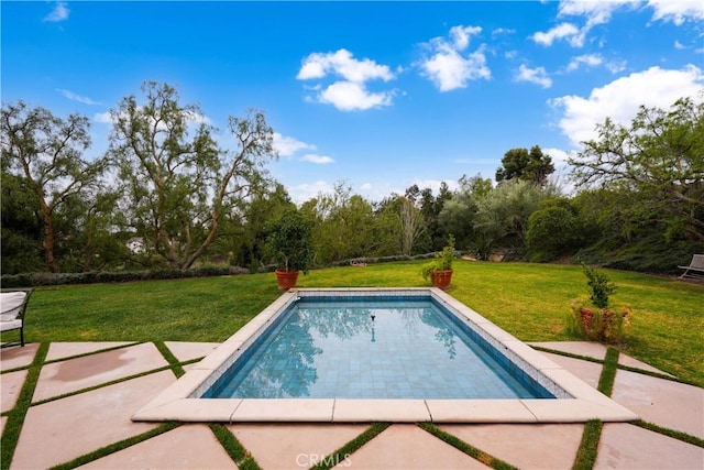 view of swimming pool featuring a patio and a lawn