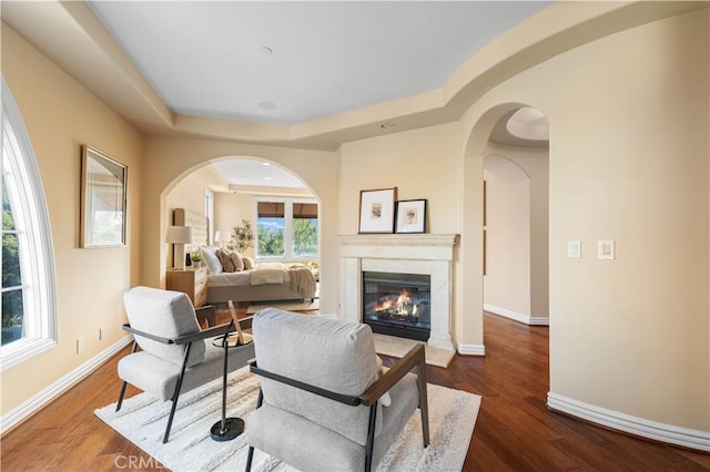 living room featuring wood-type flooring and a tray ceiling