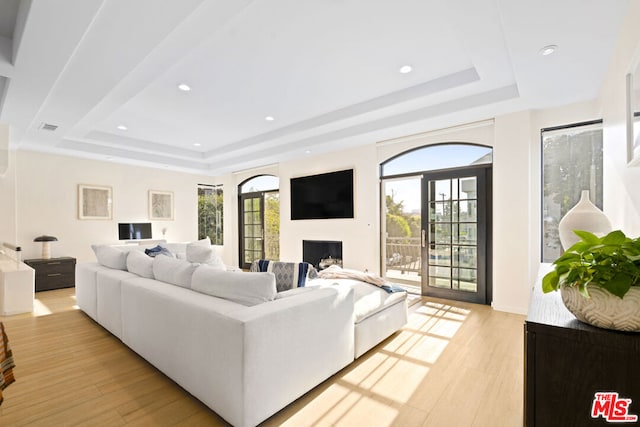 living room featuring light hardwood / wood-style flooring, a wealth of natural light, and a tray ceiling