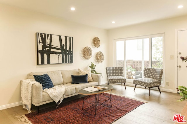 living room featuring hardwood / wood-style floors