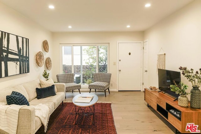 living room featuring light hardwood / wood-style flooring