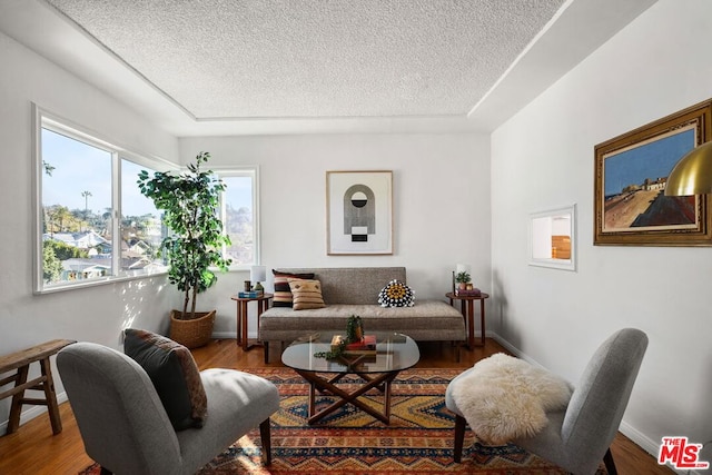 living room featuring wood-type flooring and a textured ceiling