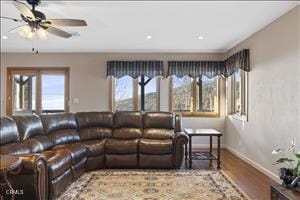 living room with hardwood / wood-style floors and ceiling fan