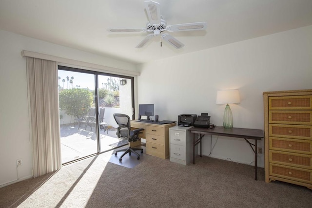 office space featuring carpet and ceiling fan