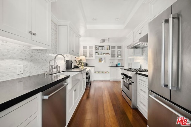 kitchen with high quality appliances, white cabinetry, sink, and a tray ceiling