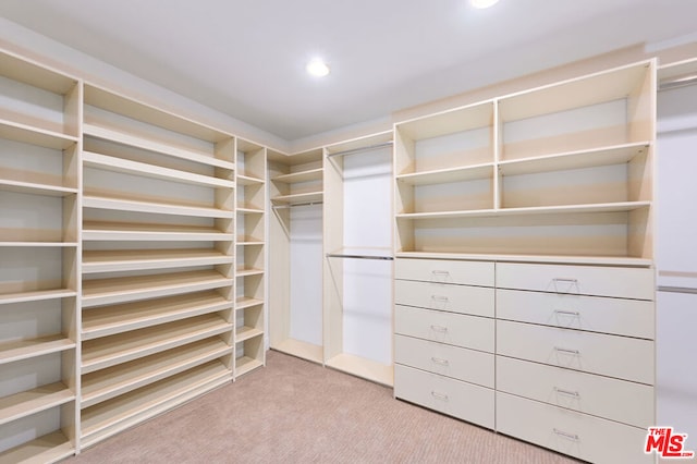 spacious closet with light carpet