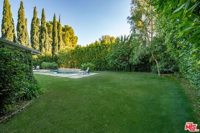 view of yard featuring a patio