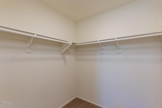 spacious closet with carpet