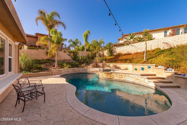 view of swimming pool with a patio