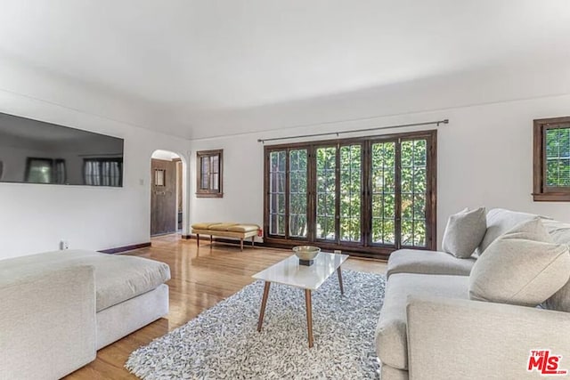 living room with hardwood / wood-style flooring