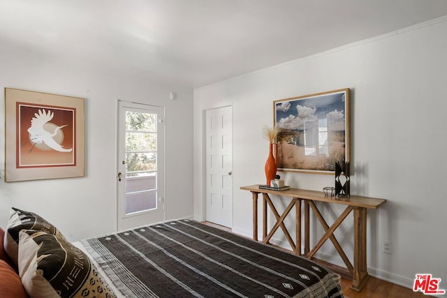 bedroom with wood-type flooring