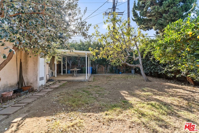 view of yard with a patio