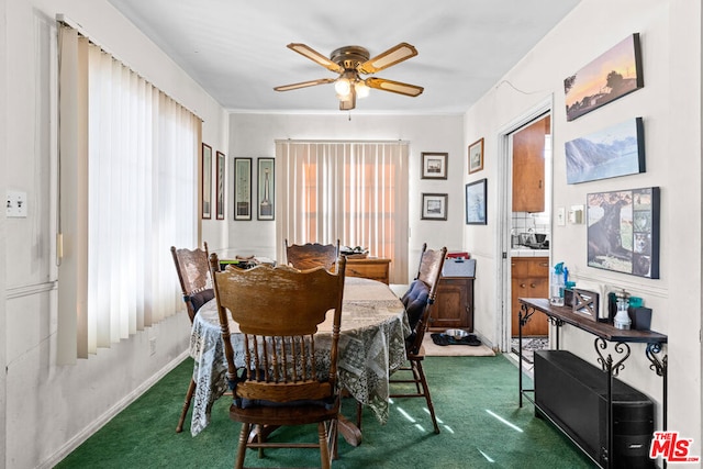 dining space with ceiling fan, a healthy amount of sunlight, and dark carpet