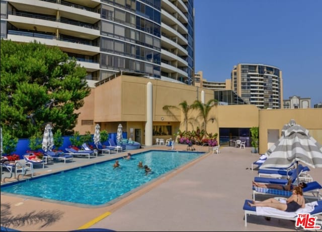 view of pool featuring a patio area