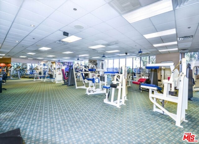 workout area featuring carpet flooring, a paneled ceiling, and ceiling fan