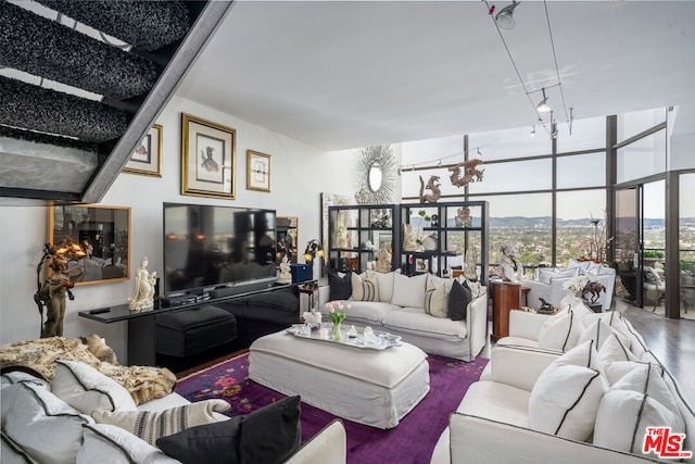 living room featuring expansive windows