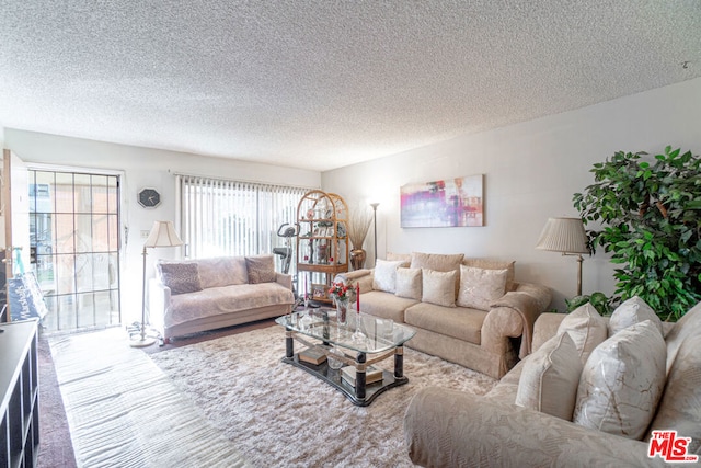 living room with carpet flooring and a textured ceiling