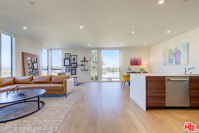 living room with light hardwood / wood-style floors and sink