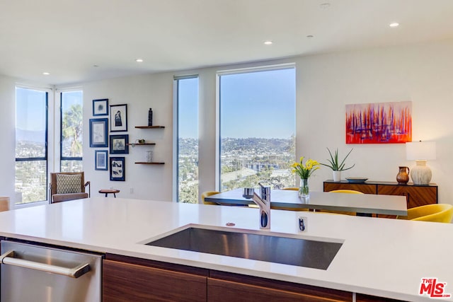 kitchen featuring dishwasher and sink