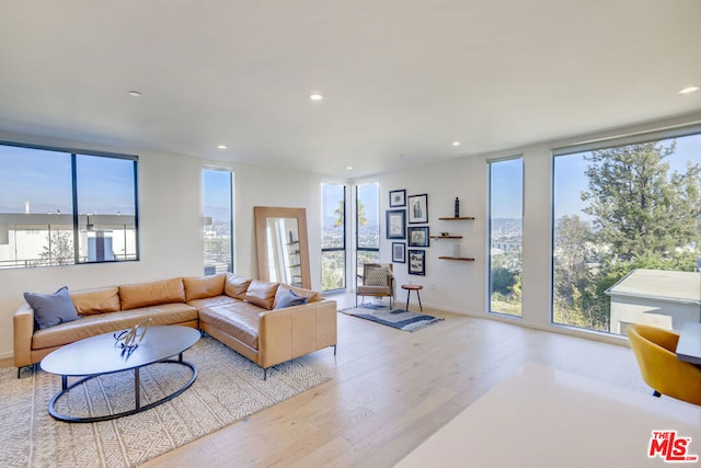 living room featuring light wood-type flooring