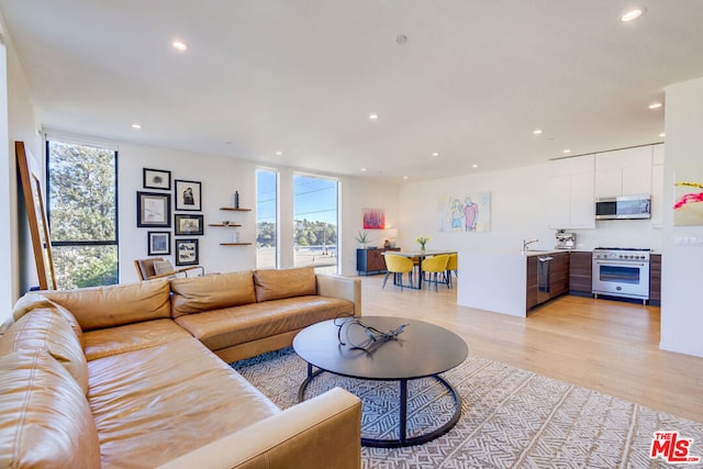 living room featuring floor to ceiling windows and light hardwood / wood-style flooring