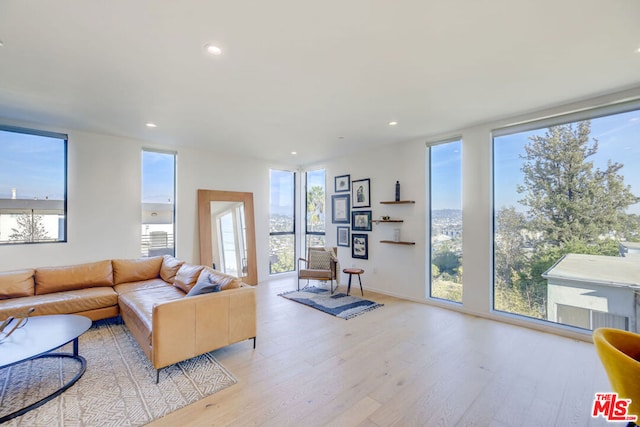 living room with light hardwood / wood-style floors and a wealth of natural light