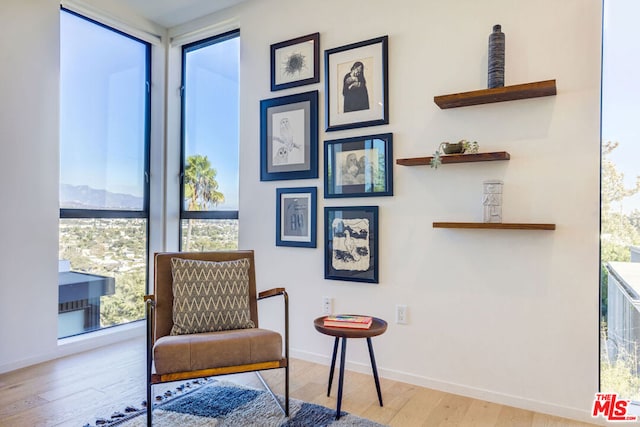 living area featuring floor to ceiling windows and light hardwood / wood-style flooring