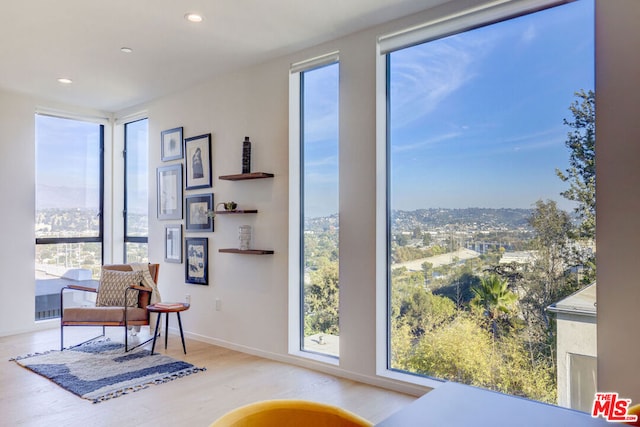 doorway to outside featuring light hardwood / wood-style flooring and a wealth of natural light