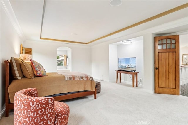 bedroom with ornamental molding, a tray ceiling, and carpet