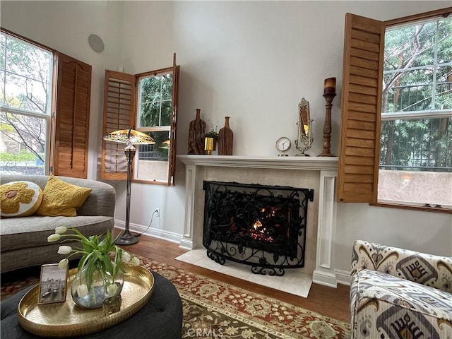 living room featuring hardwood / wood-style flooring and a healthy amount of sunlight