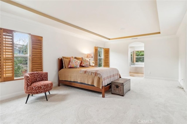 carpeted bedroom with crown molding, ensuite bath, and a tray ceiling