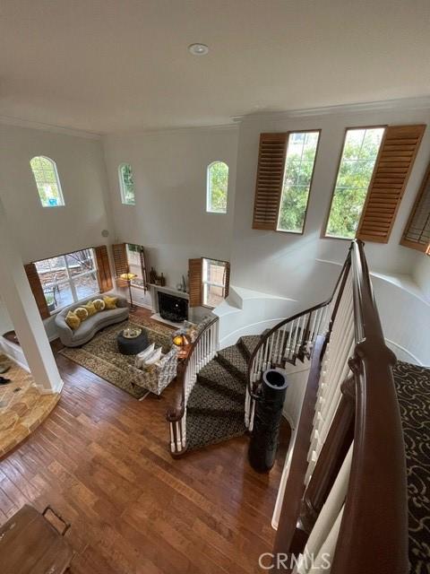 living room featuring ornamental molding and hardwood / wood-style floors