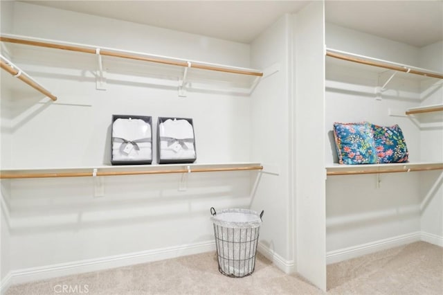 spacious closet featuring carpet floors