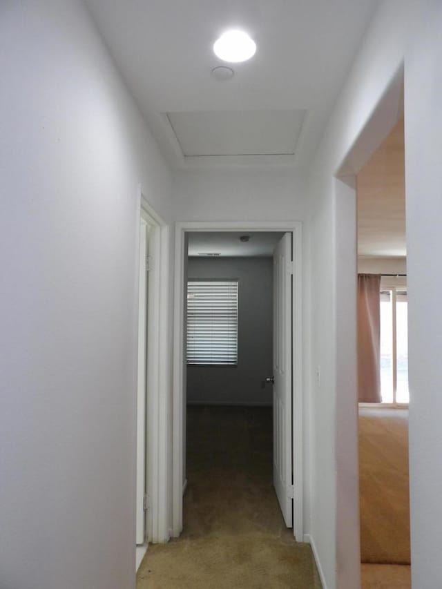 hallway featuring carpet flooring