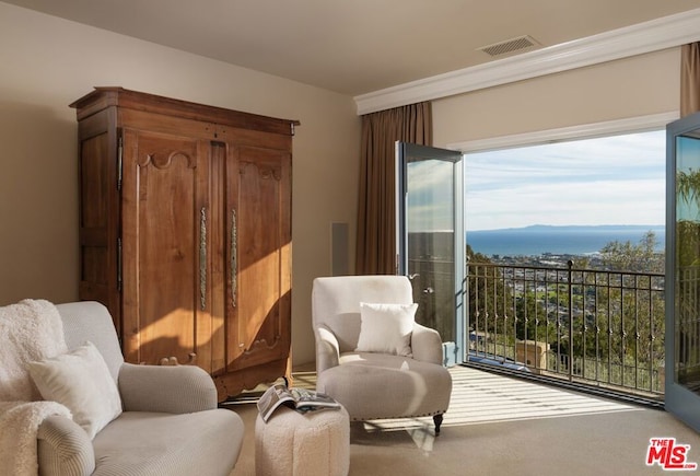 living area with carpet flooring and a water view