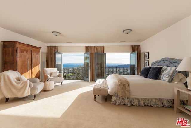 carpeted bedroom featuring access to exterior