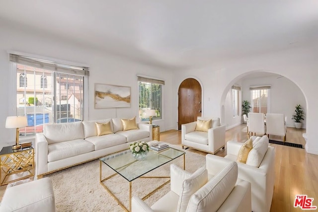 living room with hardwood / wood-style flooring