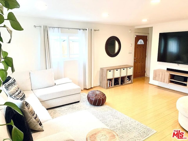 living room featuring hardwood / wood-style floors